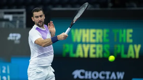 Čilić ipak bez sreće: Finale dvoboj dvoje Amerikanaca