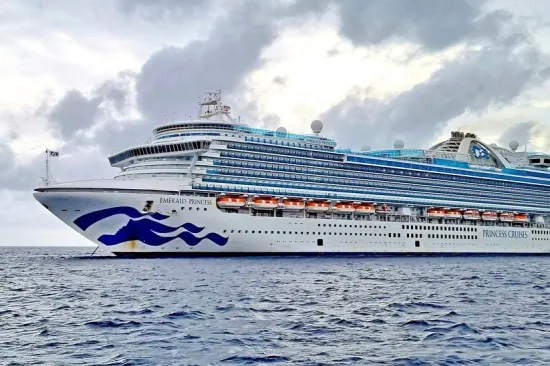 Pilot pao u more dok se ukrcavao na ogromni kruzer: Objavljeni detalji drame