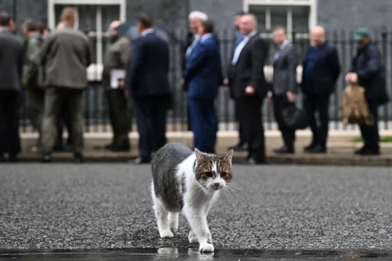 'Prvi mačak' Velike Britanije slavi 15 godina 'na vlasti': Ispratio je &scaron;est premijera, a u jednom je bez premca
