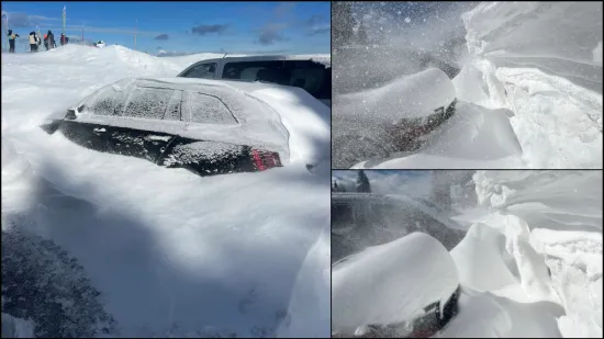 Snježna mećava izazvala kaos u susjedstvu: Zatrpani auti, sru&scaron;ena stabla...