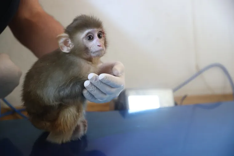 Nevjerojatan obrat u raciji: Zbog droge tragali za kriminalcima, a uhitili ovog slatki&scaron;a