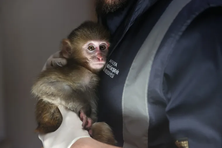 Nevjerojatan obrat u raciji: Zbog droge tragali za kriminalcima, a uhitili ovog slatki&scaron;a