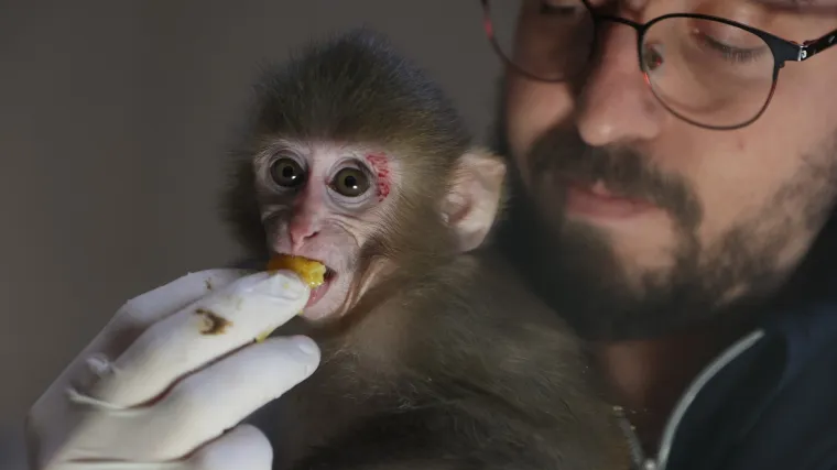 Nevjerojatan obrat u raciji: Zbog droge tragali za kriminalcima, a uhitili ovog slatki&scaron;a