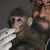 Nevjerojatan obrat u raciji: Zbog droge tragali za kriminalcima, a uhitili ovog slatki&scaron;a