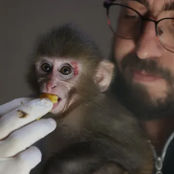 Nevjerojatan obrat u raciji: Zbog droge tragali za kriminalcima, a uhitili ovog slatki&scaron;a