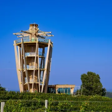 Te&scaron;ko je imati sve točne odgovore na pitanjima s međimurskim izrazima: Možete li vi?