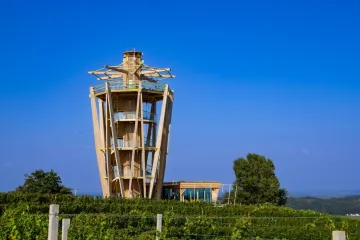 Te&scaron;ko je imati sve točne odgovore na pitanjima s međimurskim izrazima: Možete li vi?