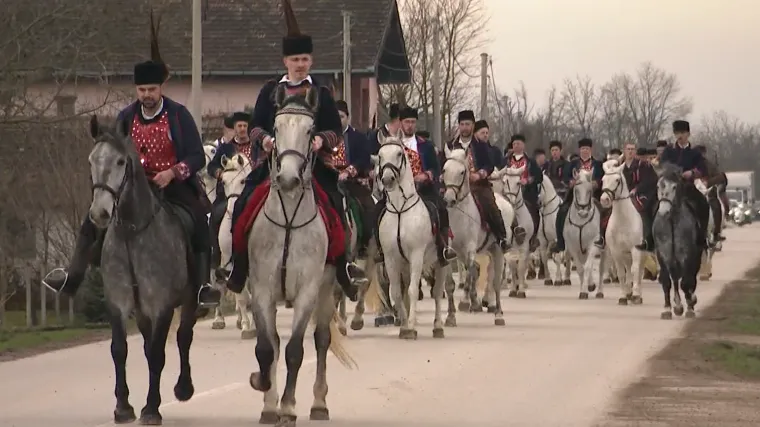 Vi&scaron;e od 150 konja bijelaca na ulicama Babine Grede: 'Nije nam te&scaron;ko, mi živimo za to'
