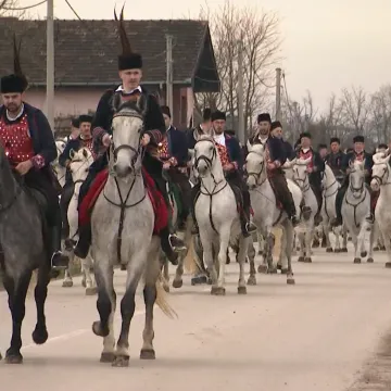 Vi&scaron;e od 150 konja bijelaca na ulicama Babine Grede: 'Nije nam te&scaron;ko, mi živimo za to'