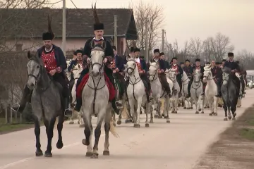 Vi&scaron;e od 150 konja bijelaca na ulicama Babine Grede: 'Nije nam te&scaron;ko, mi živimo za to'