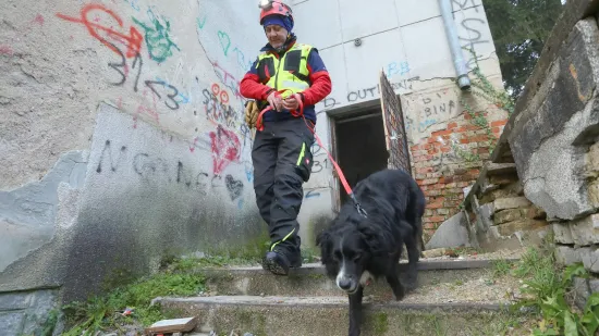 Mladići po ki&scaron;i spasili sumje&scaron;tanku: Potraga digla Trpanj na noge, ključnu ulogu imao i pas