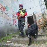 Mladići po ki&scaron;i spasili sumje&scaron;tanku: Potraga digla Trpanj na noge, ključnu ulogu imao i pas
