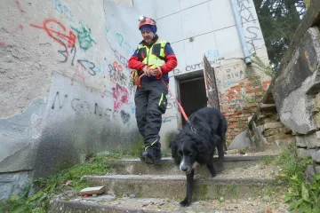Mladići po ki&scaron;i spasili sumje&scaron;tanku: Potraga digla Trpanj na noge, ključnu ulogu imao i pas