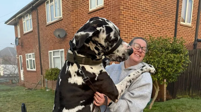 Div od 70 kg voli se maziti i veliki je pla&scaron;ljivac: 'Boji se vreća za smeće, po&scaron;tara...'