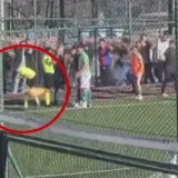 Horor u Turskoj: Navijač bacio predmet na pomoćnog suca, utakmica odmah prekinuta