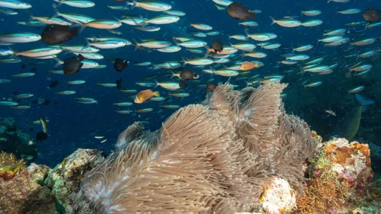 Raj u opasnosti: Znanstvenici upozoravaju da je ovo tek početak katastrofe