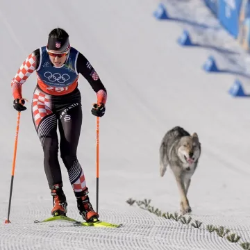Ma, nije moguće?! Pas koji izgleda kao vuk oteo se s uzice i &lsquo;ganjao&lsquo; Hrvaticu, ostala bez finala ZOI-ja
