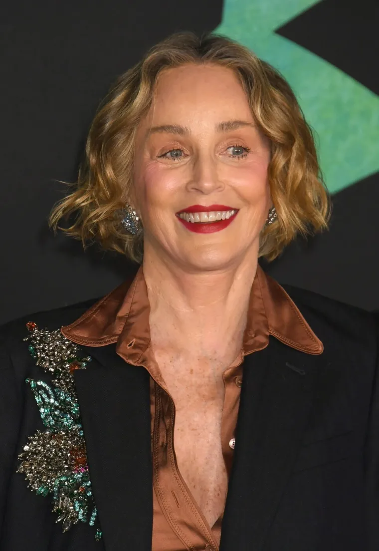 Kruže fotografije 'popeglane' Sharon Stone: &Scaron;to joj se dogodilo?