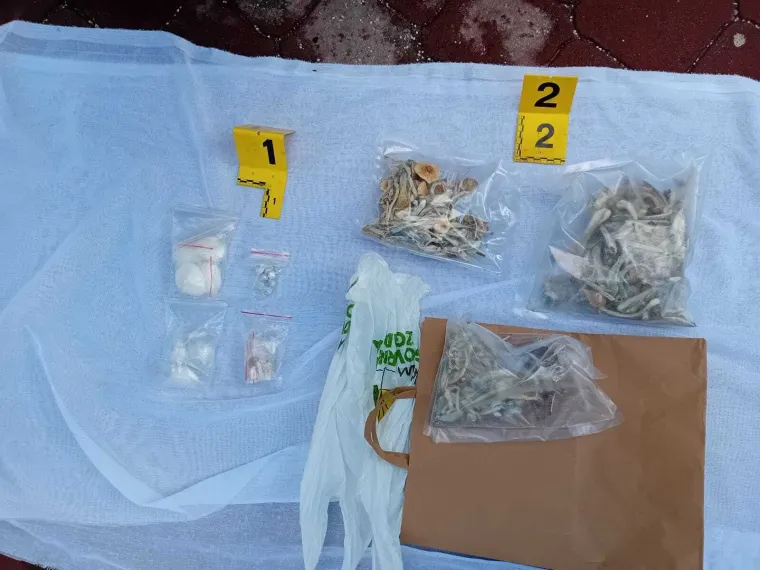 Autom krenuo na prosvjednike u Sarajevu: Kod njega na&scaron;li drogu, lude gljive, streljivo...