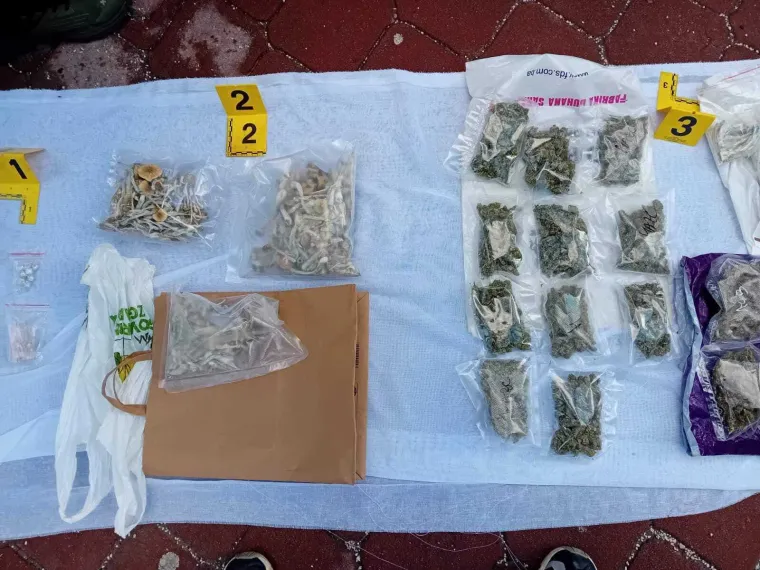 Autom krenuo na prosvjednike u Sarajevu: Kod njega na&scaron;li drogu, lude gljive, streljivo...