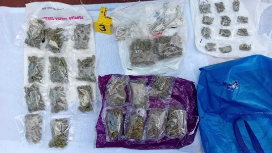 Autom krenuo na prosvjednike u Sarajevu: Kod njega na&scaron;li drogu, lude gljive, streljivo...