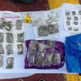 Autom krenuo na prosvjednike u Sarajevu: Kod njega na&scaron;li drogu, lude gljive, streljivo...