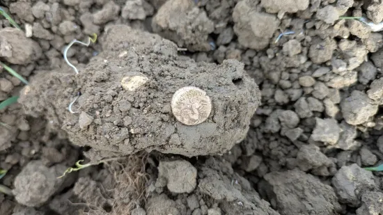Htio nećakinji pokazati detektor metala, pa prona&scaron;ao blago: Vrijednost mu je zaista vrtoglava