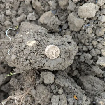 Htio nećakinji pokazati detektor metala, pa prona&scaron;ao blago: Vrijednost mu je zaista vrtoglava