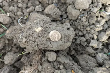 Htio nećakinji pokazati detektor metala, pa prona&scaron;ao blago: Vrijednost mu je zaista vrtoglava