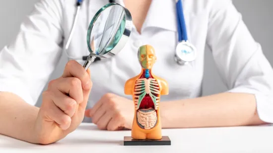 [KVIZ] Koliko dobro poznajete ljudsku anatomiju?