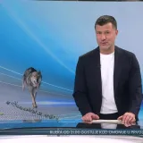 Hrvatica koja je zbog psa postala hit na Zimskim olimpijskim igrama: 'Nije mi bilo svejedno'