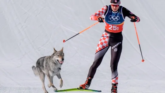 Hrvatica koja je zbog psa postala hit na Zimskim olimpijskim igrama: 'Nije mi bilo svejedno'