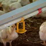 Velika pobuna u Sisku i okolici: 'Ovo je rat, samo drugim sredstvima'