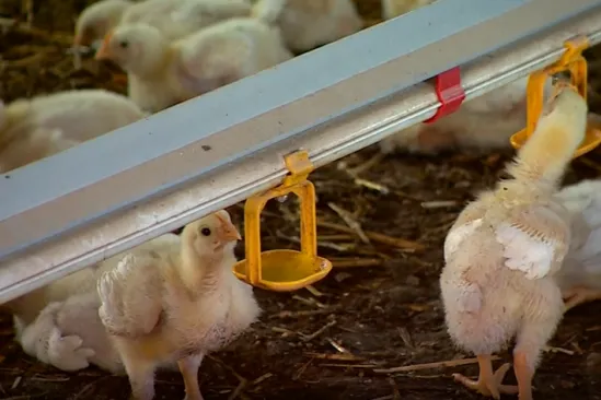 Velika pobuna u Sisku i okolici: 'Ovo je rat, samo drugim sredstvima'