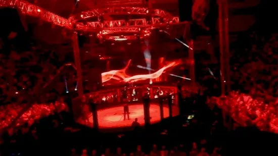 FNC spremio novi borilački spektakl, evo gdje i kada ga gledati