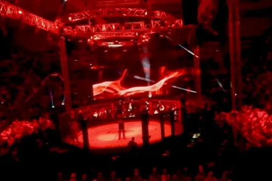 FNC spremio novi borilački spektakl, evo gdje i kada ga gledati