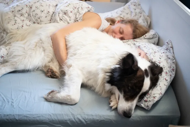 Voli li i va&scaron; pas spavati s vama? Postoje tri dirljiva razloga za&scaron;to to rade