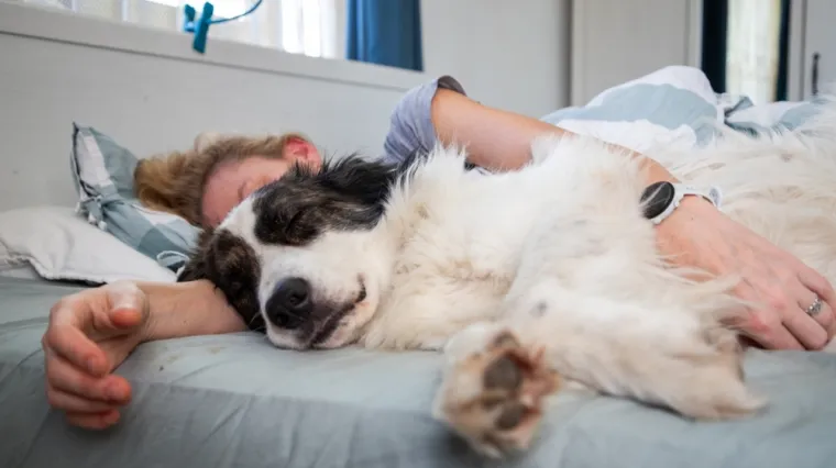 Voli li i va&scaron; pas spavati s vama? Postoje tri dirljiva razloga za&scaron;to to rade