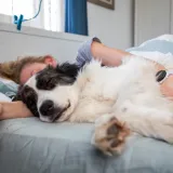 Voli li i va&scaron; pas spavati s vama? Postoje tri dirljiva razloga za&scaron;to to rade