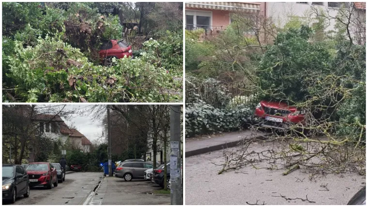 Kaos u Zagrebu: Stablo palo na parkirane automobile na Tre&scaron;njevci