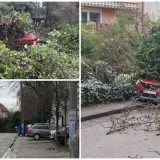 Kaos u Zagrebu: Stablo palo na parkirane automobile na Tre&scaron;njevci