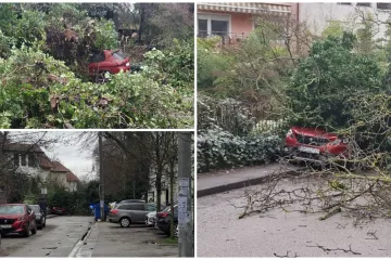 Kaos u Zagrebu: Stablo palo na parkirane automobile na Tre&scaron;njevci