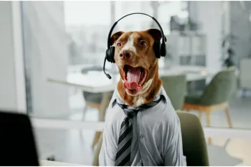 Spa&scaron;avaju živote, čuvaju okoli&scaron; i sudjeluju u kriminalu: Životinje sa zaista neobičnim poslovima