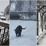 Ponovno ste nas odu&scaron;evili! Ovo su fotografije snježne idile u veljači koje ste nam poslali