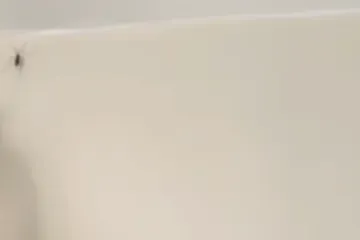 Djevojka pokazala vrlo učinkovit način kako se rije&scaron;ila pauka