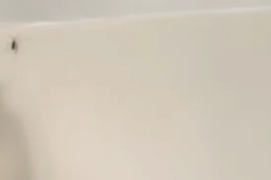 Djevojka pokazala vrlo učinkovit način kako se rije&scaron;ila pauka