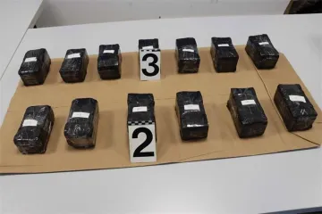 Detalji uhićenja na Karasovićima: Ukrajinac (24) objasnio &scaron;to je htio s 500.000 eura