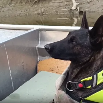 Ni policija, ni HGSS, ni lovci: Kujica Luna je junakinja dana! Prona&scaron;la nestalog mu&scaron;karca u zadnji tren