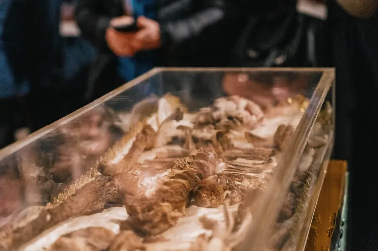 Relikvije svetog Franje Asi&scaron;kog prvi put javno izložili! Želi ga vidjeti skoro pola milijuna ljudi