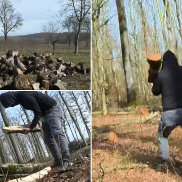 Noćna sječa, milijunske &scaron;tete i sumnjivi kamioni: Tko stoji iza krađa te&scaron;kih desetke tisuća eura?